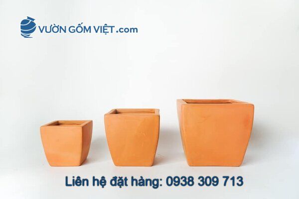 Nhà cung cấp chậu gốm Terracotta toàn quốc theo yêu cầu