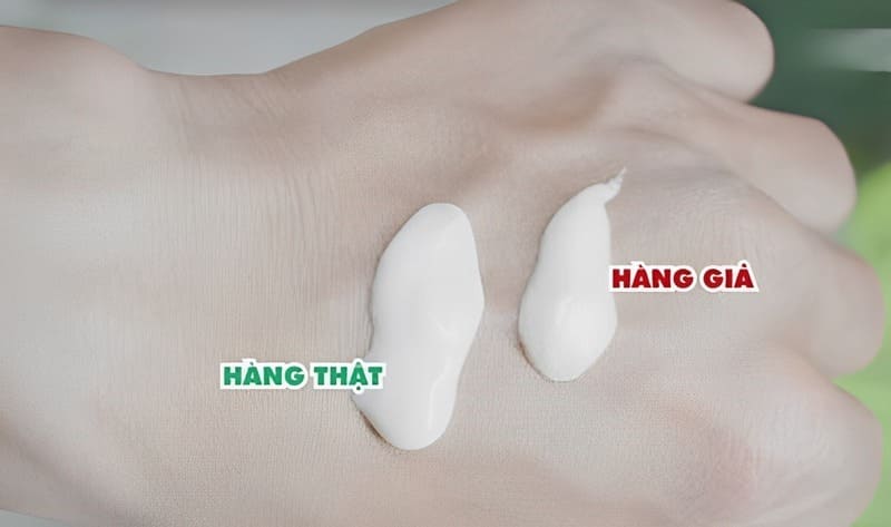 phan-biet-sua-rua-mat-da-nang-that-gia-1