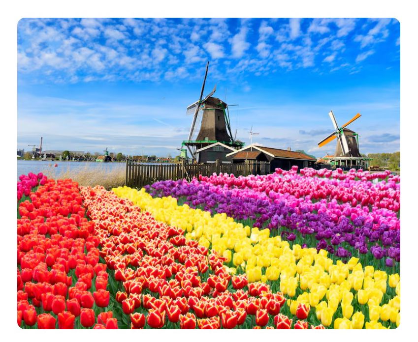 Cuộc khủng hoảng