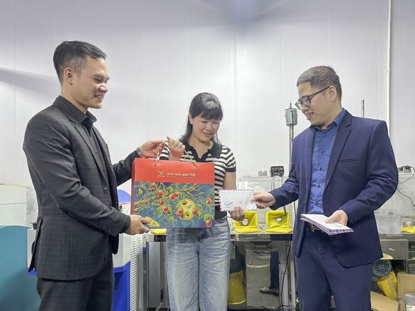 CÔNG TY CỔ PHẦN VGEMS TRAO QUÀ TẾT ẤT TỴ 2025 CHO TẬP THỂ CÁN BỘ NHÂN VIÊN TRONG CÔNG TY