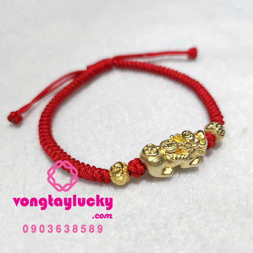 Hình ảnh bài viết