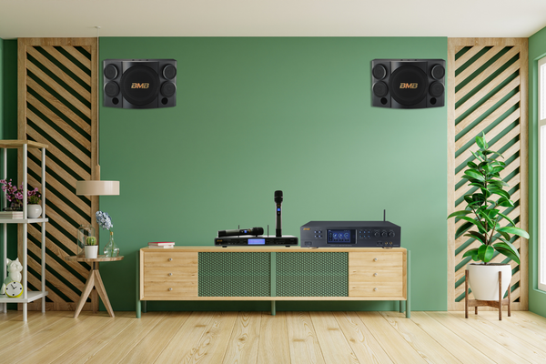Loa Karaoke BMB CSE-310II – Sự Lựa Chọn Lý Tưởng Cho Không Gian Giải Trí Chất Lượng