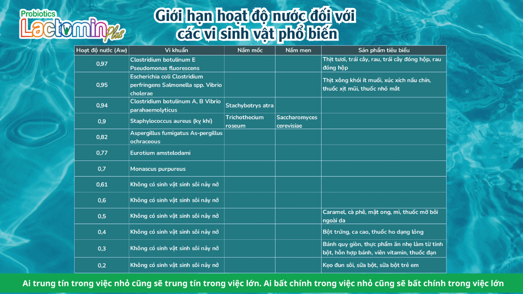 Hình ảnh bài viết