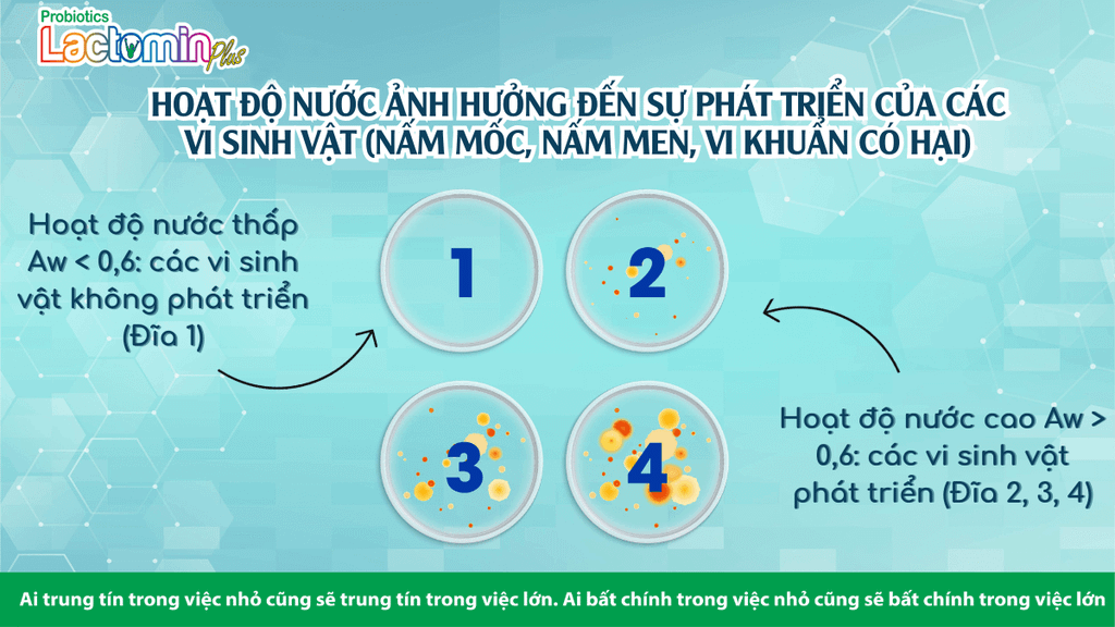 Hình ảnh bài viết