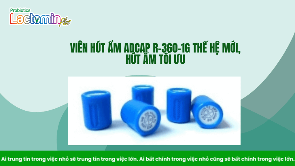 Hình ảnh bài viết