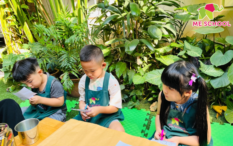 phương pháp steiner