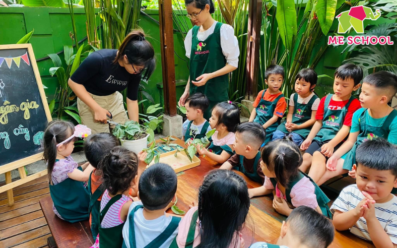 trò chơi bảo vệ môi trường