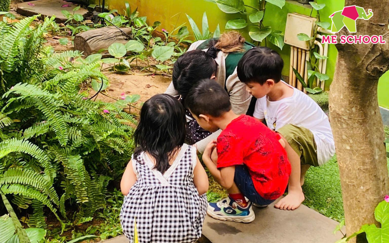 trò chơi bảo vệ môi trường