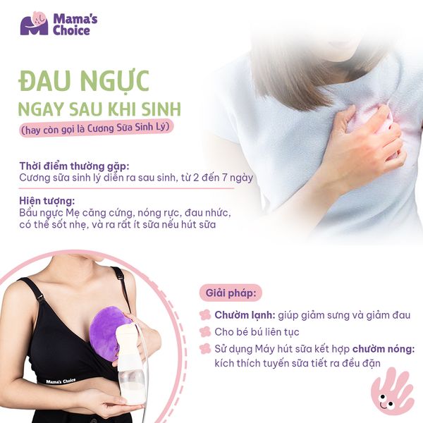 Túi chườm giúp giảm căng tức cương sữa sinh lý