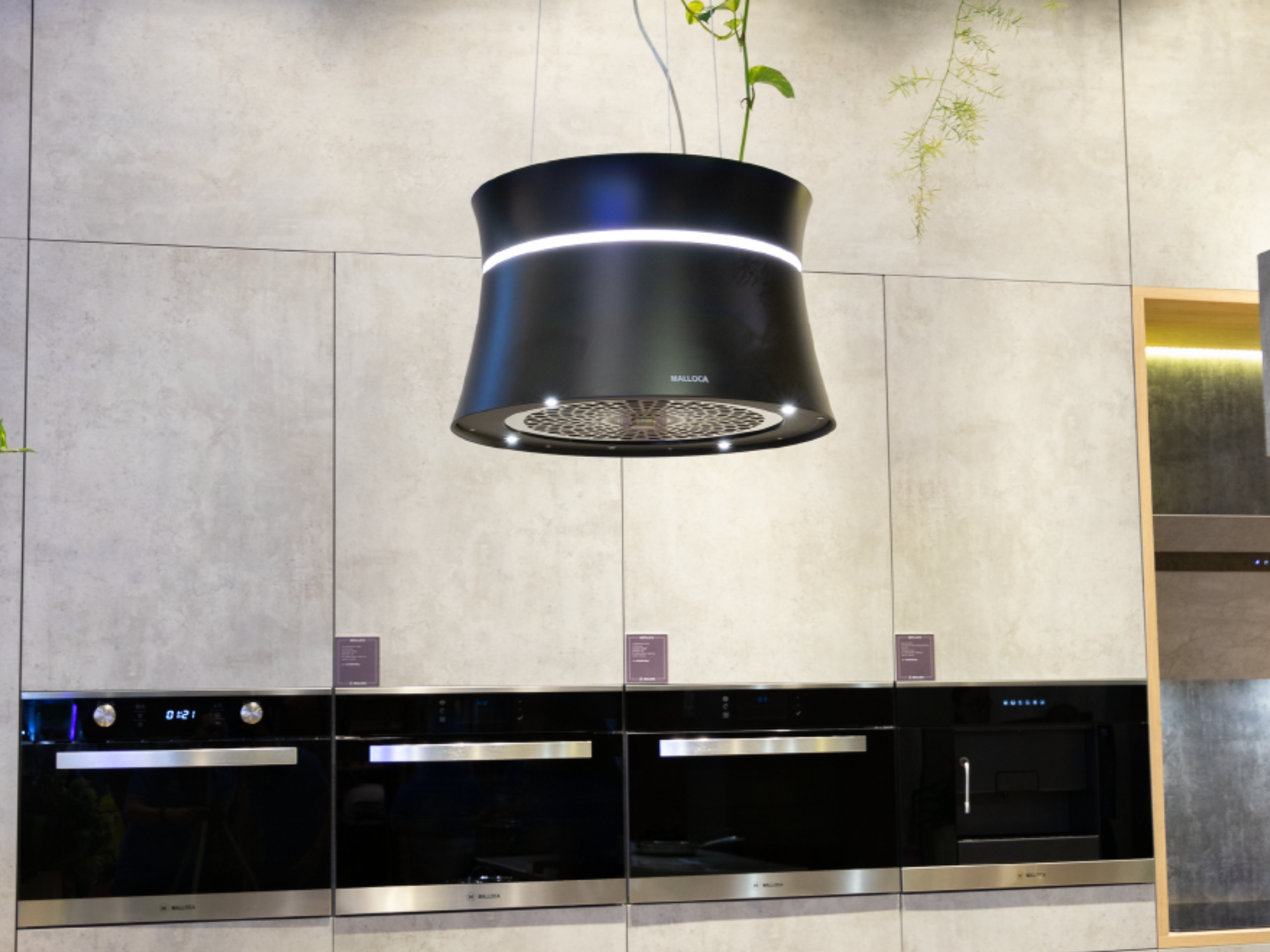 Thiết kế hình tròn độc đáo – Tạo điểm nhấn khác biệt