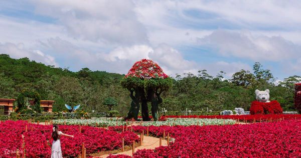 Vườn hoa Đà Lạt: Thiên đường của các loài hoa