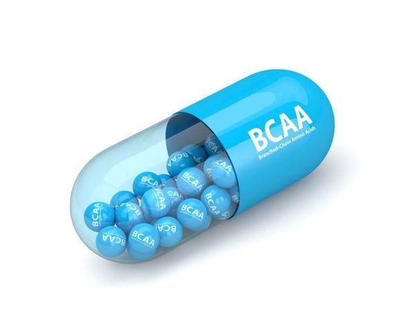 axit amin thuộc BCAAs bảo vệ cơ bắp hiệu quả