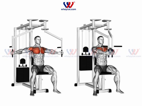 Tập nhóm cơ ngực, vai, tay sau cho nam