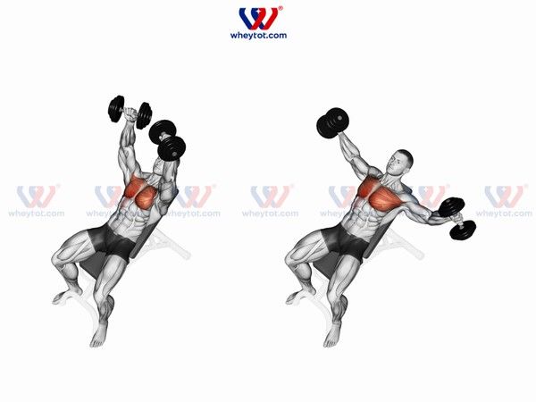 Hướng dẫn tập gym 3 ngày 1 tuần cho nam