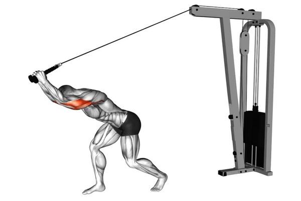 Bài tập Cable Overhead Tricep Extension phát triển cơ tam đầu