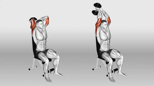 Bài tập duỗi cơ tam đầu trên ghế tựa giúp tăng độ ổn định khi tập