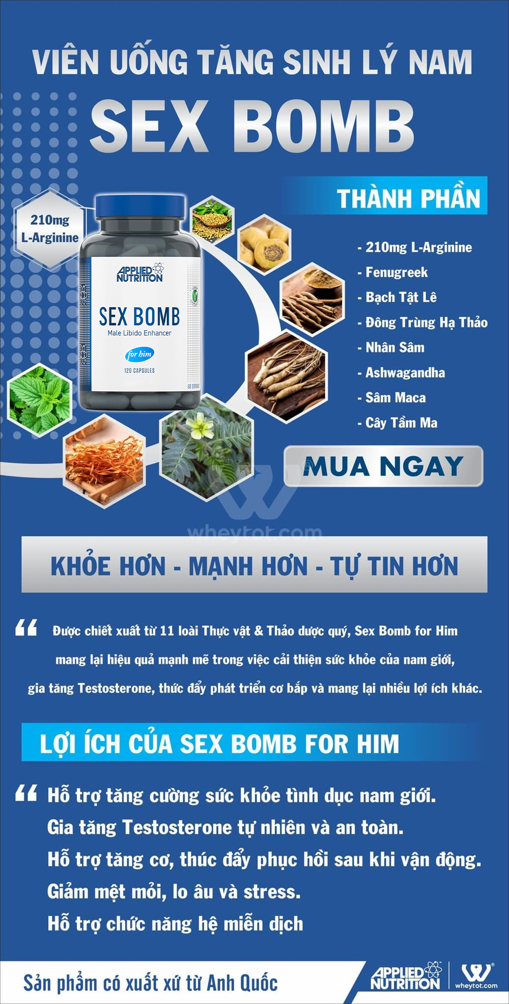 SEX-BOMB-FOR-HIM