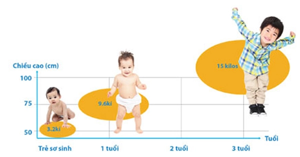 giai đoạn vàng phát triển chiều cao