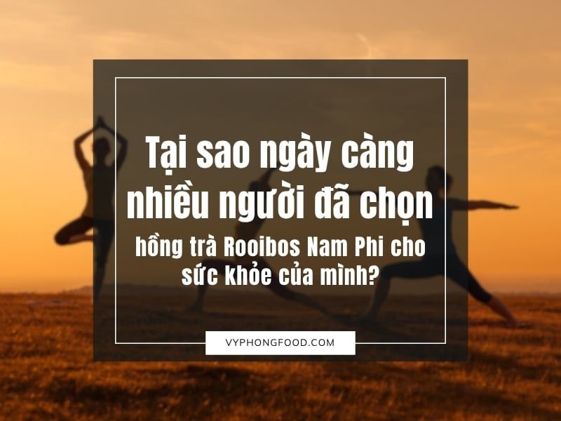 Tại sao ngày càng nhiều người đã chọn hồng trà Rooibos Nam Phi cho sức khỏe của mình?