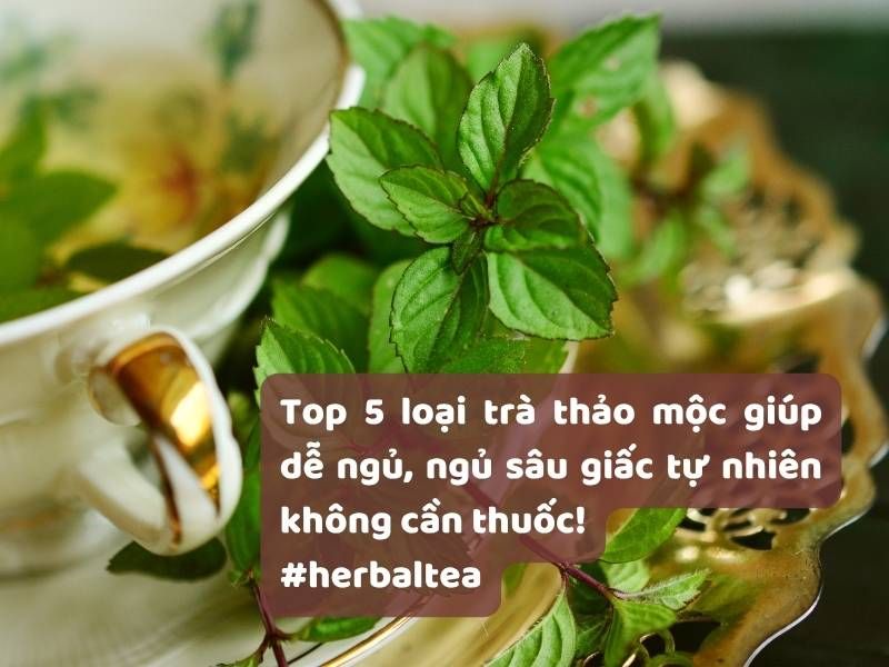 Top 5 loại trà thảo mộc giúp dễ ngủ, ngủ sâu giấc tự nhiên không cần thuốc!