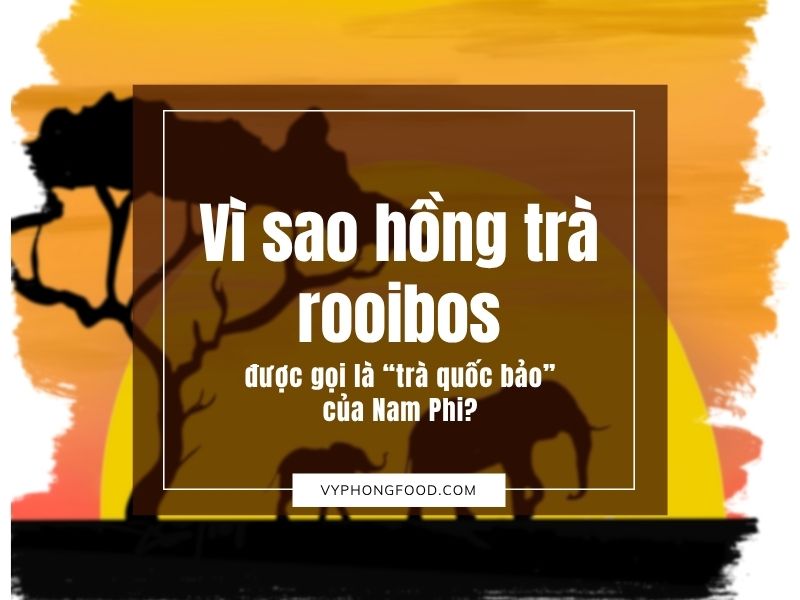 Vì sao hồng trà rooibos được gọi là “trà quốc bảo” của Nam Phi?