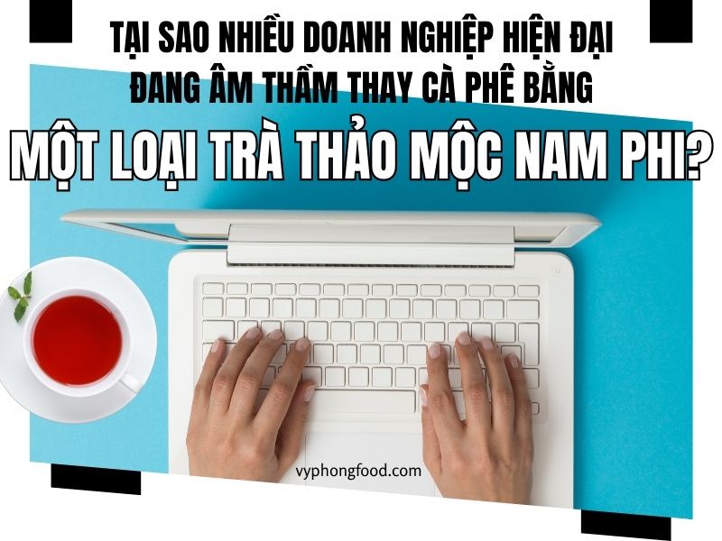 Tại sao nhiều doanh nghiệp hiện đại đang âm thầm thay cà phê bằng … một loại trà thảo mộc Nam Phi?