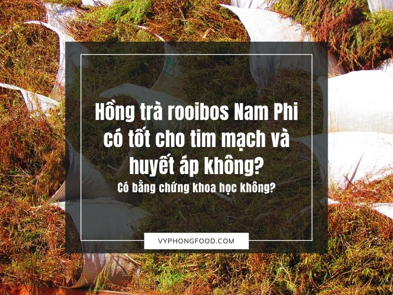 Hồng trà rooibos Nam Phi có tốt cho tim mạch và huyết áp không? Có bằng chứng khoa học không?