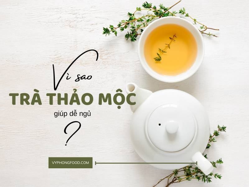 Vì sao trà thảo mộc giúp dễ ngủ? Giải thích dưới góc nhìn khoa học và Đông y