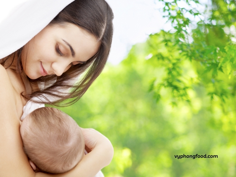 Discover safe and effective ways to boost milk supply for postpartum mothers with Greenmax lactation nutritional cereal rich in nutrients, delicious, and safe for both mother and baby Multi Grains Cereal vyphongfood.com