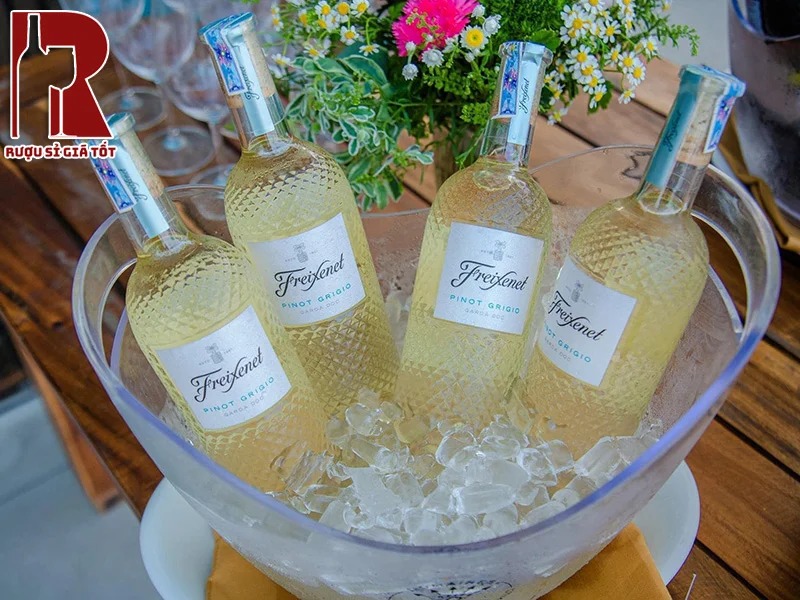 Vang Ý Trắng Freixenet ngào ngạt hương thơm từ các loại hoa quả chín mọng