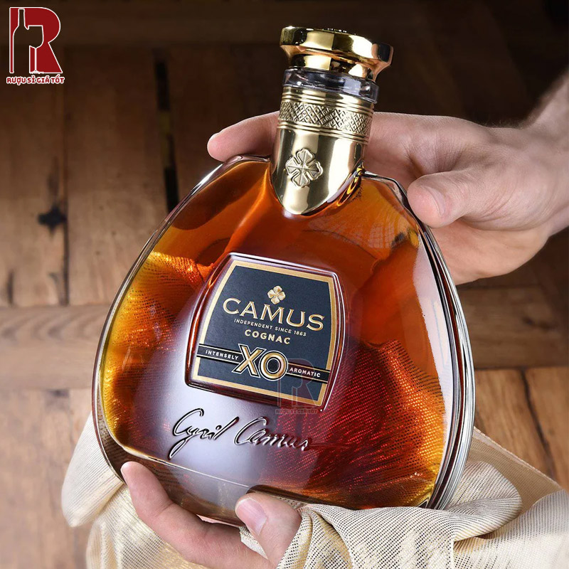 Rượu Camus XO nhập khẩu chính hãng giá tốt nhất thị trường