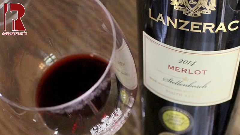 Quy Trình Sản Xuất Lanzerac Merlot