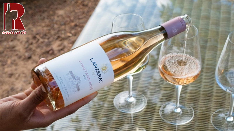 Lanzerac Pinotage Rosé - Sắc Hồng Đến Từ Tâm Huyết Người Làm Vang