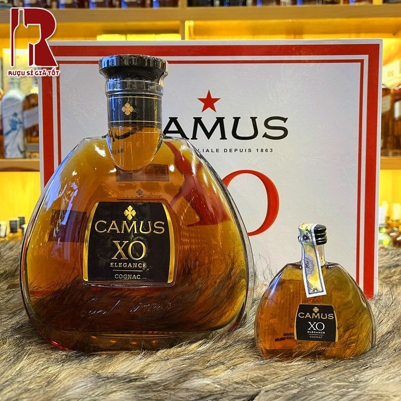 Có bao nhiêu loại rượu Camus