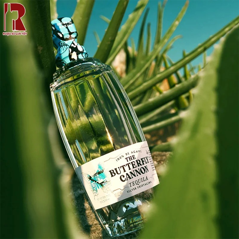 Tequila Butterfly Cannon Cristalino là nguồn cảm hứng cho nhiều loại cocktail danh tiếng