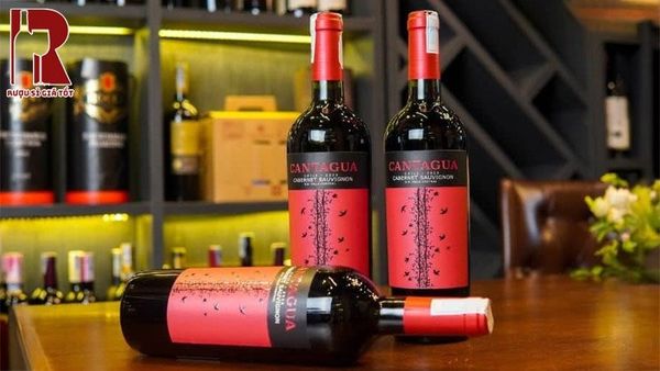 Mua rượu vang Cantagua giá rẻ dưới 200k