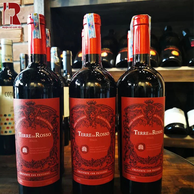 Rượu vang đỏ Terre Da Rosso có màu sắc đỏ ruby quyến rũ và vị rượu mạnh mẽ