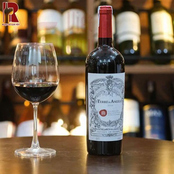 Chai vang Terre Di Angelo nổi bật với các tầng hương vị phức tạp và phong phú