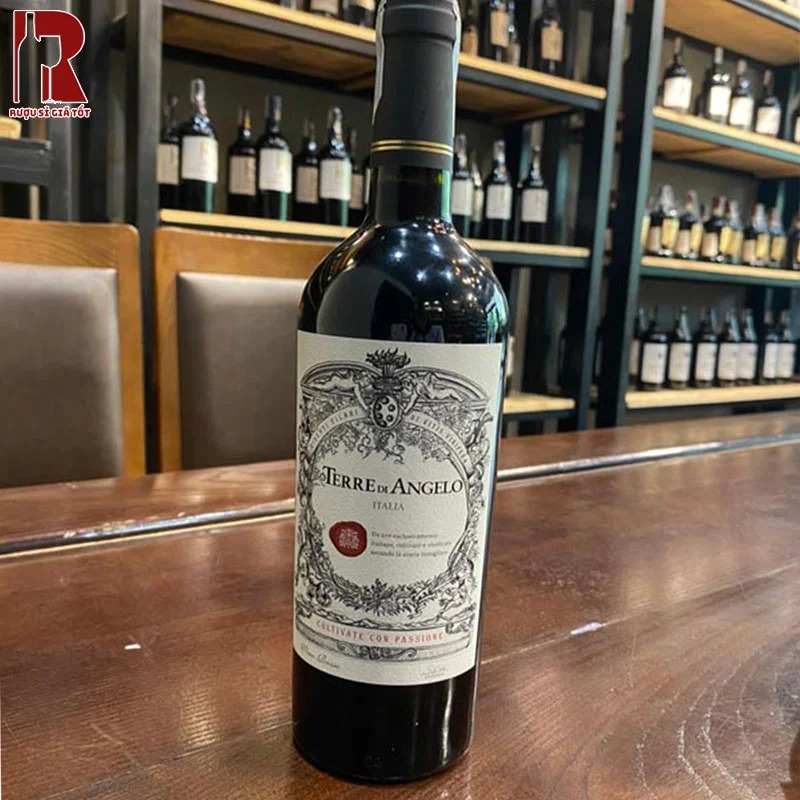 Chai vang Terre Di Angelo là đại diện tiêu biểu cho tinh hoa vang Ý