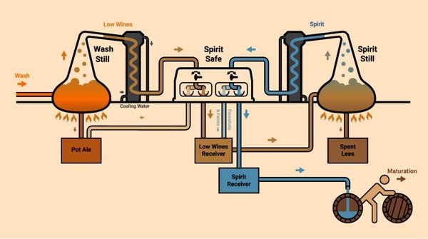 Quy trình tổng quát để sản xuất rượu Whisky