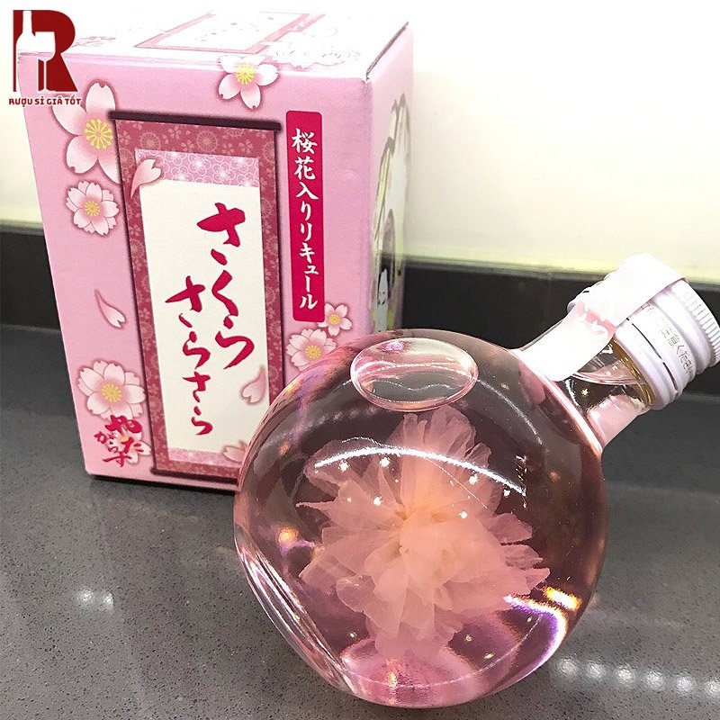 Mua rượu Sake Hoa Anh Đào giá rẻ