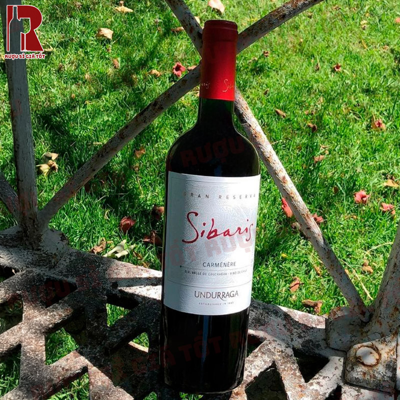 Rượu Sibaris Carmenere phù hợp cho đa dạng khách hàng
