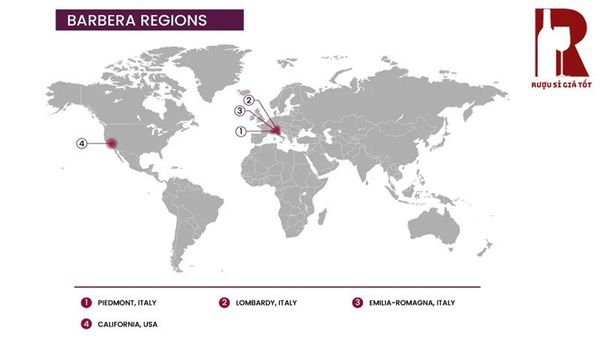 Barbera
