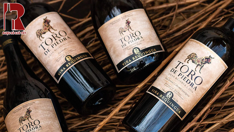 Tổng Quan Về Toro De Piedra Gran Reserva Cabernet Sauvignon