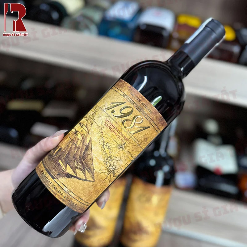 Vang 1981 Negroamaro Sangiovese nhập khẩu từ Ý