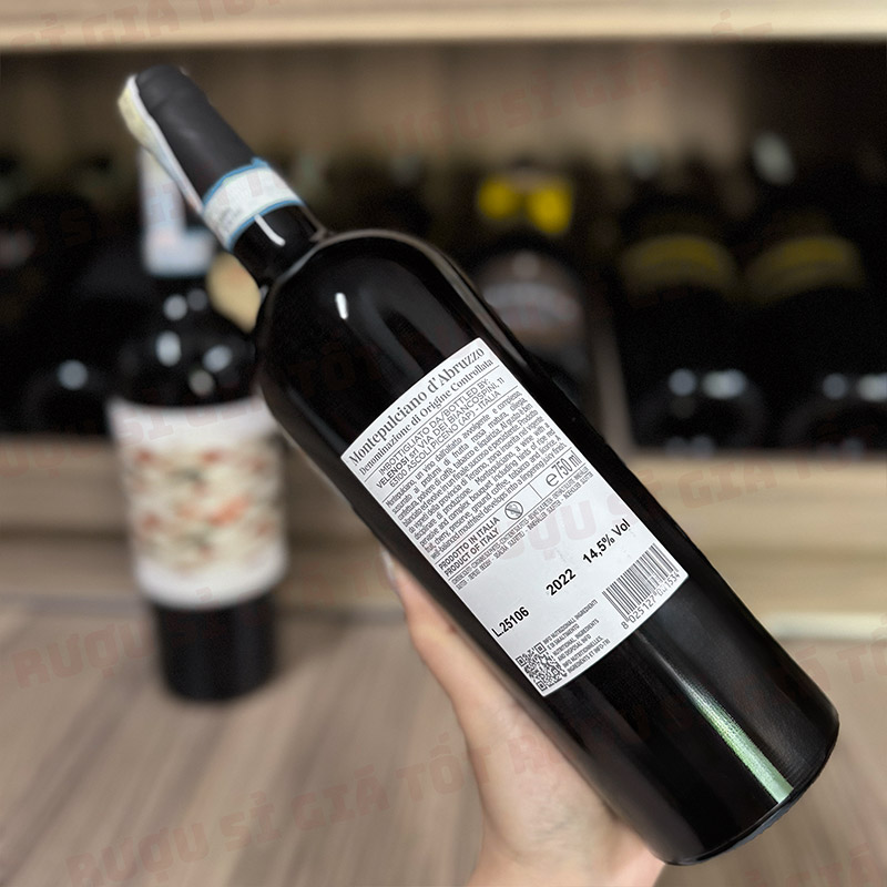 Trong Cùng Phân Khúc Velenosi Onda Có Gì Nổi Trội?