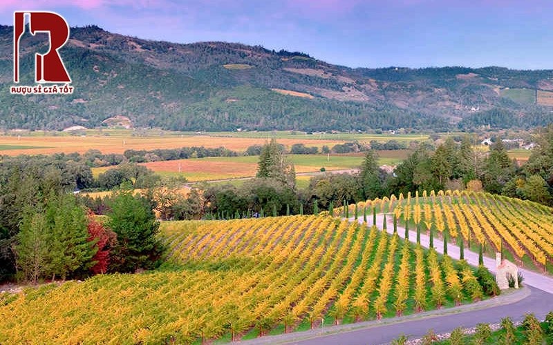 vùng Napa Valley Mỹ