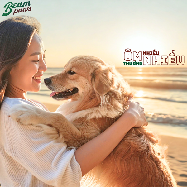 Chó Pug cần sữa tắm dịu nhẹ, chuyên biệt Hình ảnh chó Pug với làn da nhạy cảm