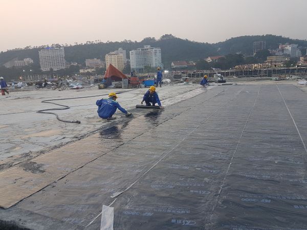 Hình ảnh bài viết