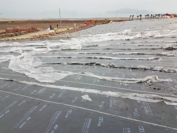 Hình ảnh bài viết